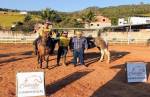 Deputado reforça convite para exposição nacional do cavalo Campolina na cidade