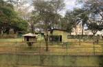 Sindjori: Montes Claros fecha Zoológico definitivamente
