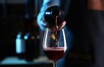 Estudo comprova benefícios do vinho feito com a uva merlot; confira quais