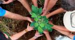 Jovens Mineiros Sustentáveis: Congonhas promove educação ambiental com plantio de árvores
