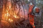 Incêndio consome três hectares de fazenda em Queluzito