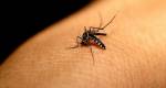 Dengue em Ouro Branco: boletim epidemiológico aponta 1.894 casos confirmados