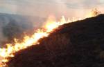 Bombeiros passam o sábado combatendo incêndios na região