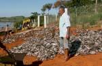 Sindjori: 130 toneladas de peixes mortos em Furnas