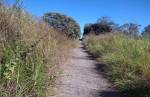 Pista de caminhada da MG-129 receberá limpeza e capina nesta quinta-feira