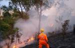 Cachoeira:  bombeiros combatem incêndio em vegetação