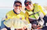 Tucunarés gigantes fazem a festa dos pescadores de Lafaiete em Três Marias