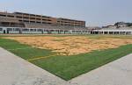 Meridional mostra novo estádio e 