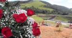 Sindijori: Produtores de flores comemoram safra em Minas