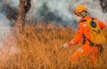 Balanço dos bombeiros revela redução de mais de 20% em área queimada nas Unidades de Conservação em MG