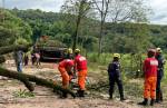  Congonhas mobiliza equipes para desobstrução de estrada após temporais