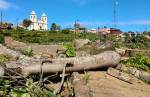 Queluzito: remoção de árvores na praça Santo Amaro garante segurança para a população