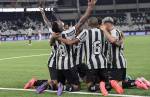 Futebol: Botafogo em busca do título da Recopa e Palmeiras luta por classificação no Paulistão